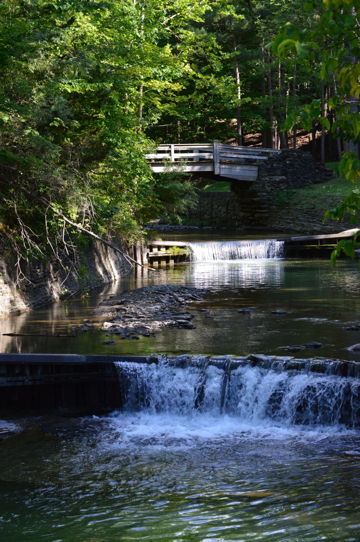 Stony Brook Park